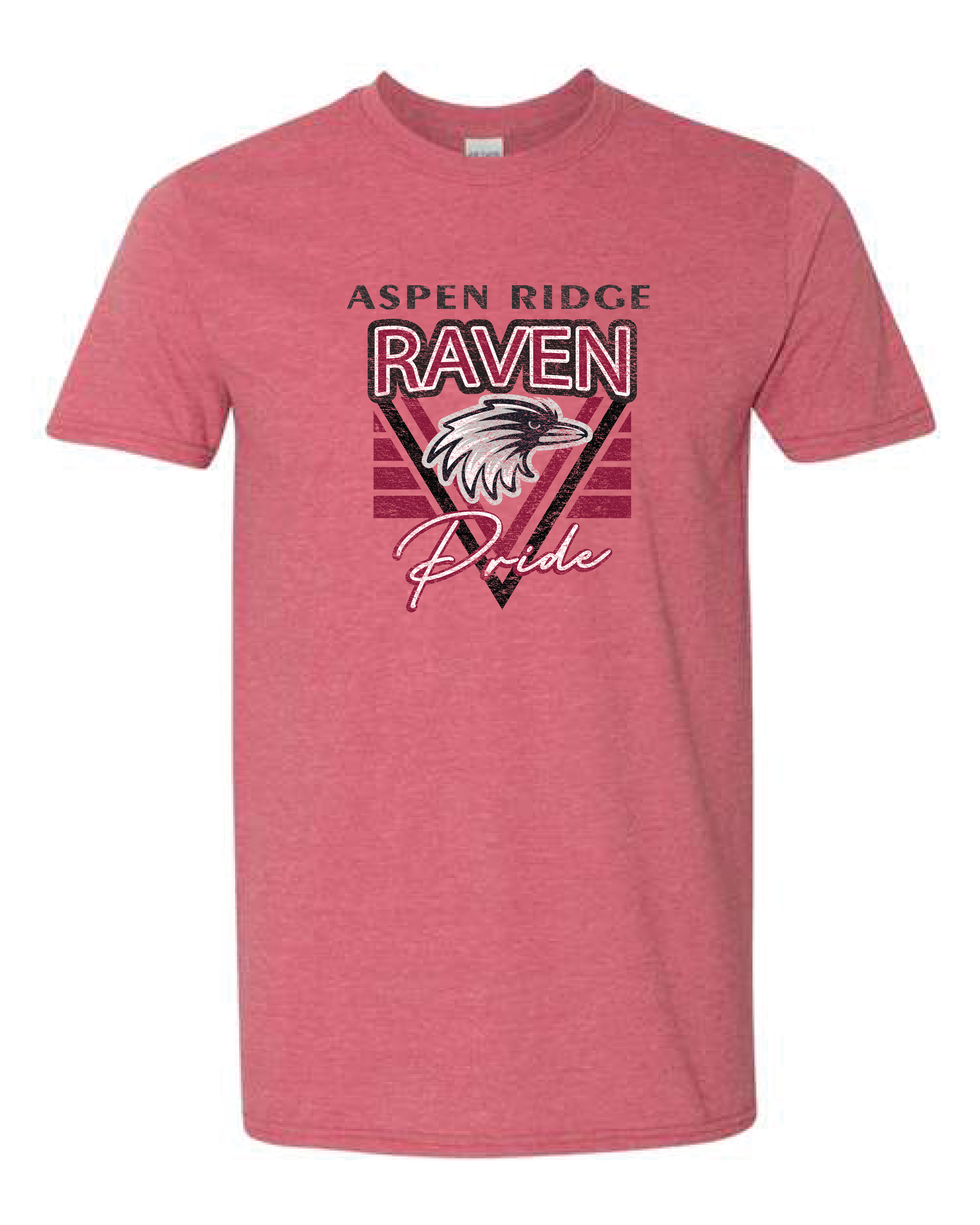 Ridge Ravens Soft Style Vintage Adult-Sized Unisex T-Shirts